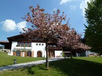 Haus Eberhardt im Frühling Haus Eberhardt im Frühling