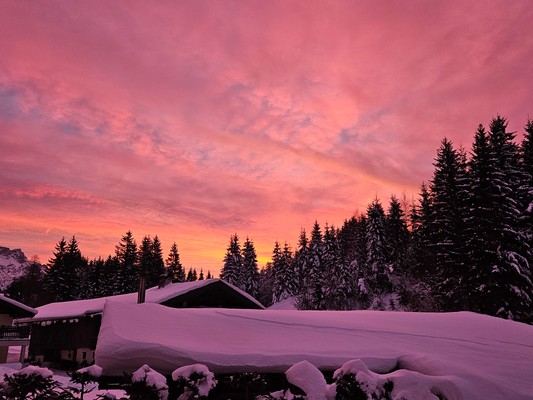 Winter sunrise
