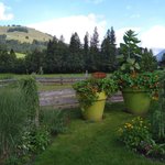 Bild von Ferienhaus, Dusche, WC, Komfort